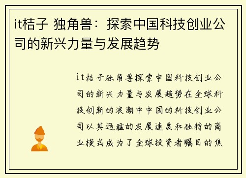 it桔子 独角兽：探索中国科技创业公司的新兴力量与发展趋势